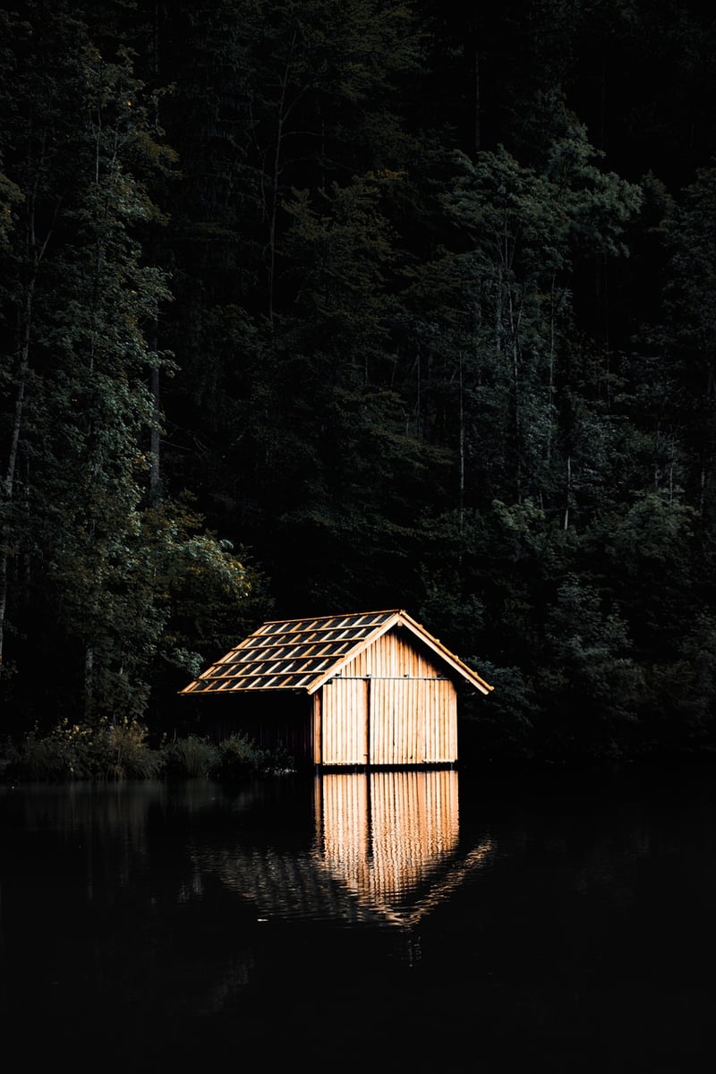 Secluded Cabin in the Woods